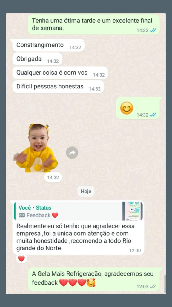 FEEDBECKS GELA MAIS (4)